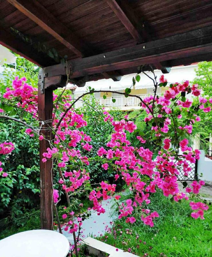 Nicole'S Residence بوليخرونو المظهر الخارجي الصورة